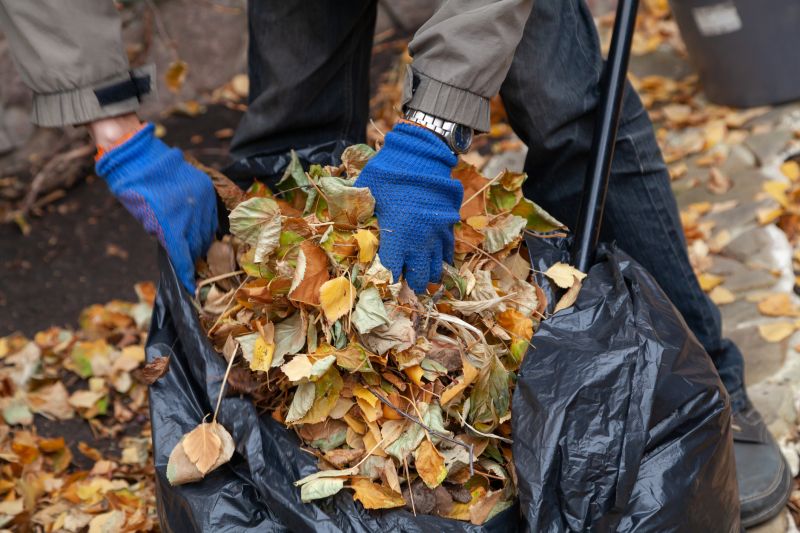 Leaf Cleanup