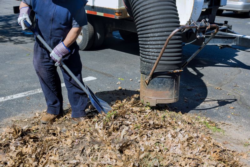 Leaf Cleanup