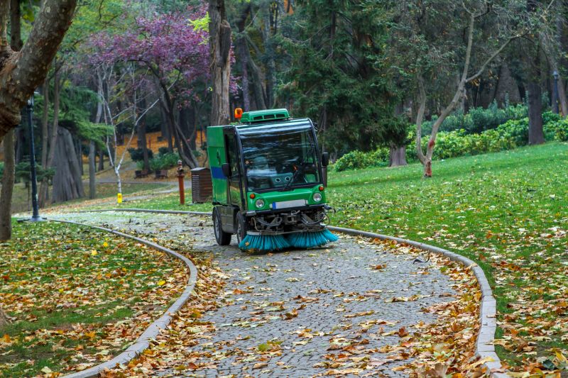 Leaf Cleanup