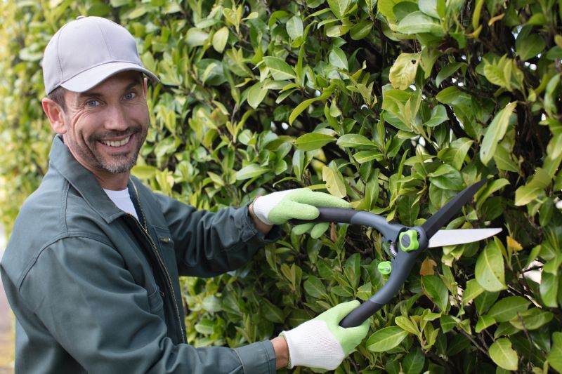 Hedge Pruning in Honolulu, HI