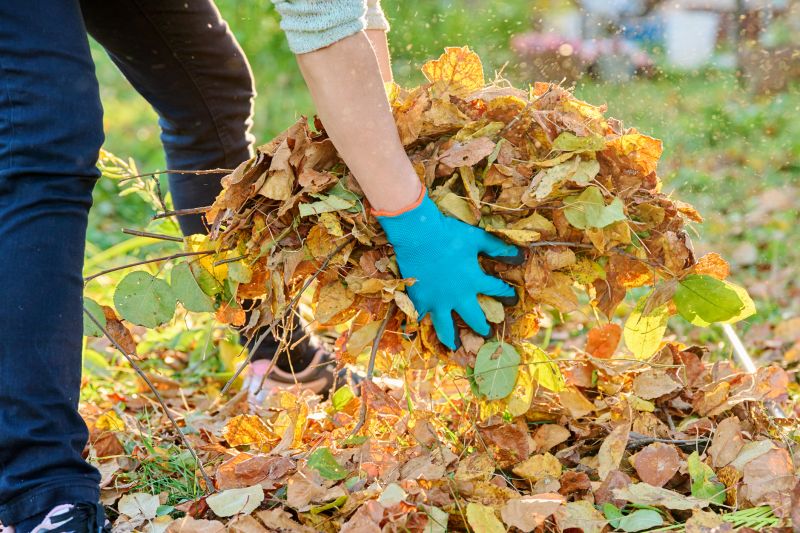 Leaf Cleanup