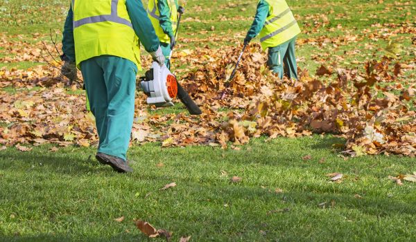 Outdoor Leaf Disposal